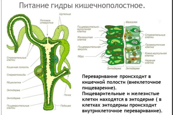 Как зарегистрироваться в кракен в россии