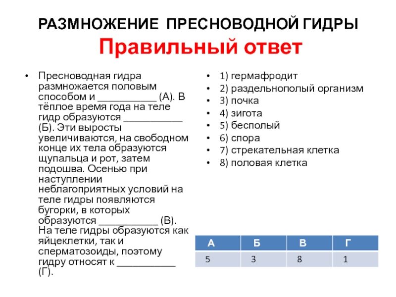 Каталог онион